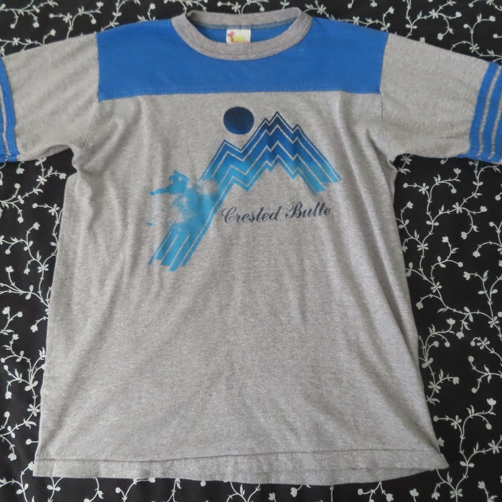 vintage rare endless summer crested butte tshirt ringer jersey L
